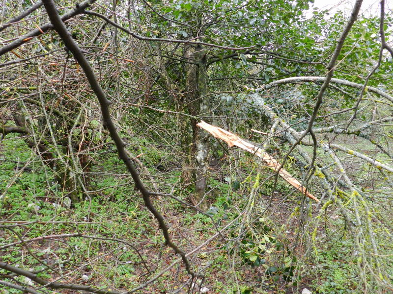 Tra una goccia e l''altra